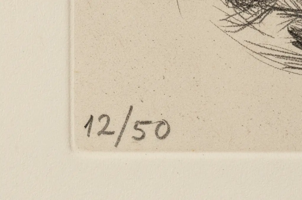 Détail du numérotage manuscrit 12/50 sur la marge d'une estampe de collection