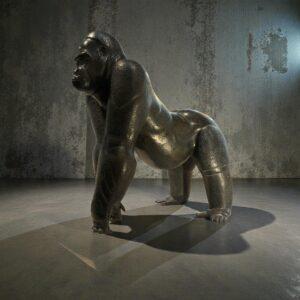 Vue de face pour l'achat d'une sculpture de gorille en bronze par Florence Jacquesson, montrant le regard puissant et la patine détaillée de l'animal assis.